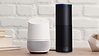 Google Home and Amazon Alexa